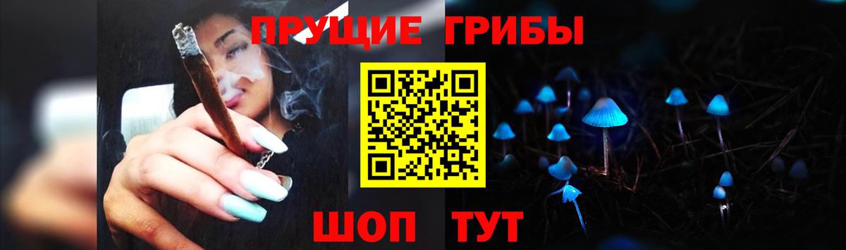 Псилоцибиновые грибы Psilocybine cubensis  Вход с VPN  Коряжма  купить наркотики цена  Псилоцибиновые грибы мухоморы 